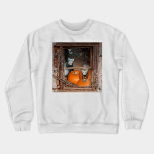 Ferrets Halloween Pumpkin Guard - Ferret art design Crewneck Sweatshirt